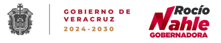 Veracruz Logo